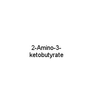 2-Amino-3- ketobutyrate